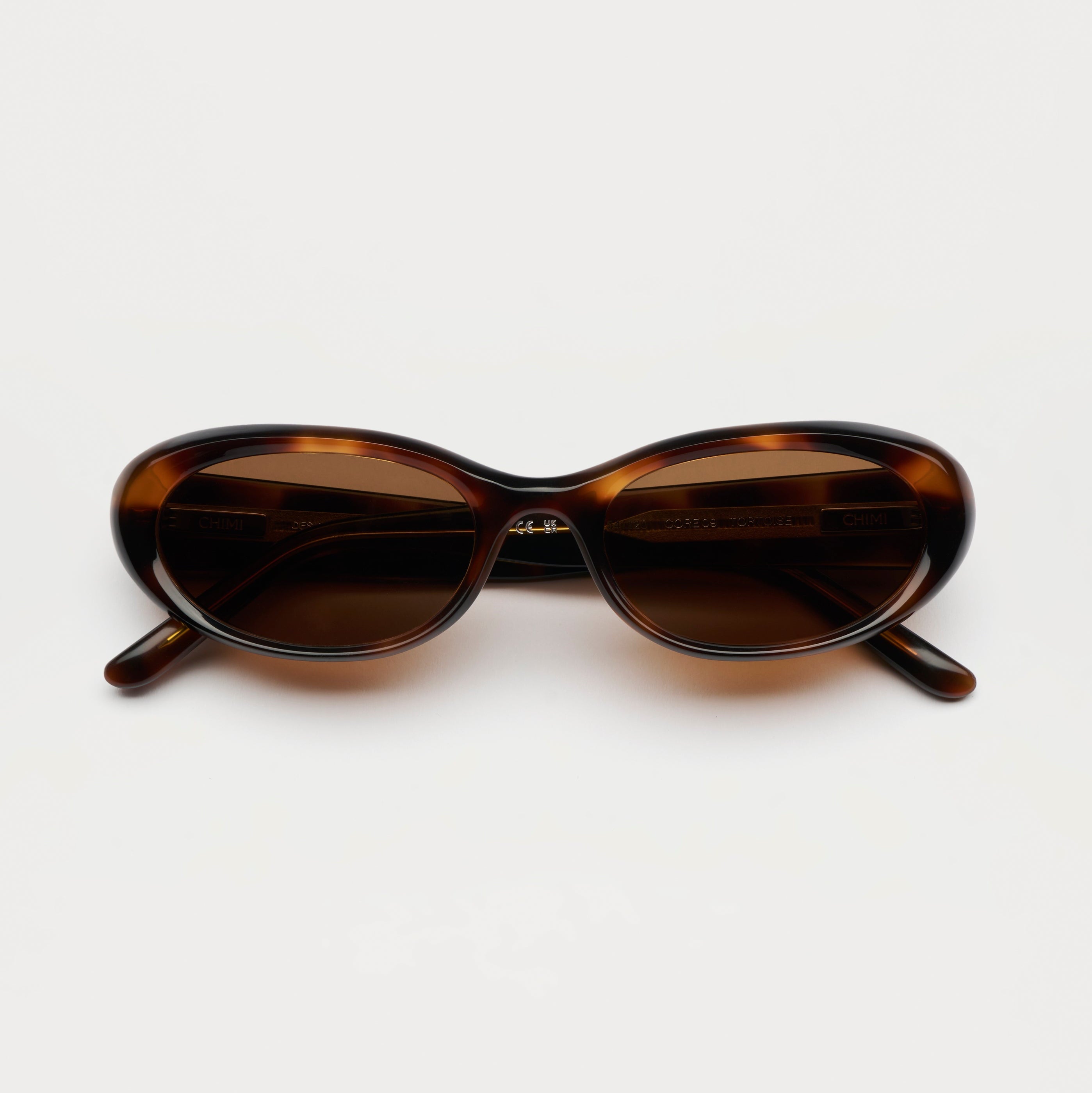 09 Tortoise
