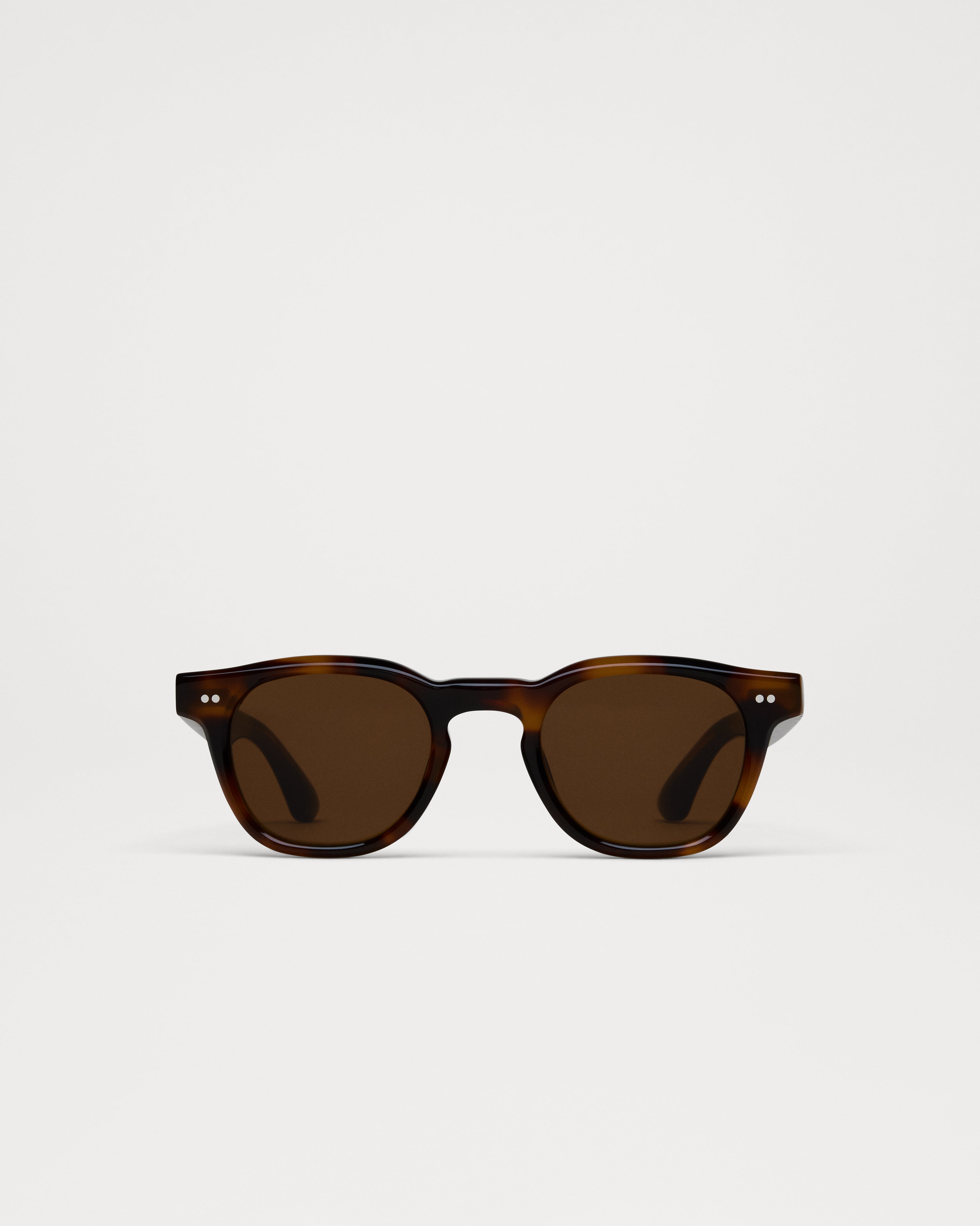 01 Tortoise