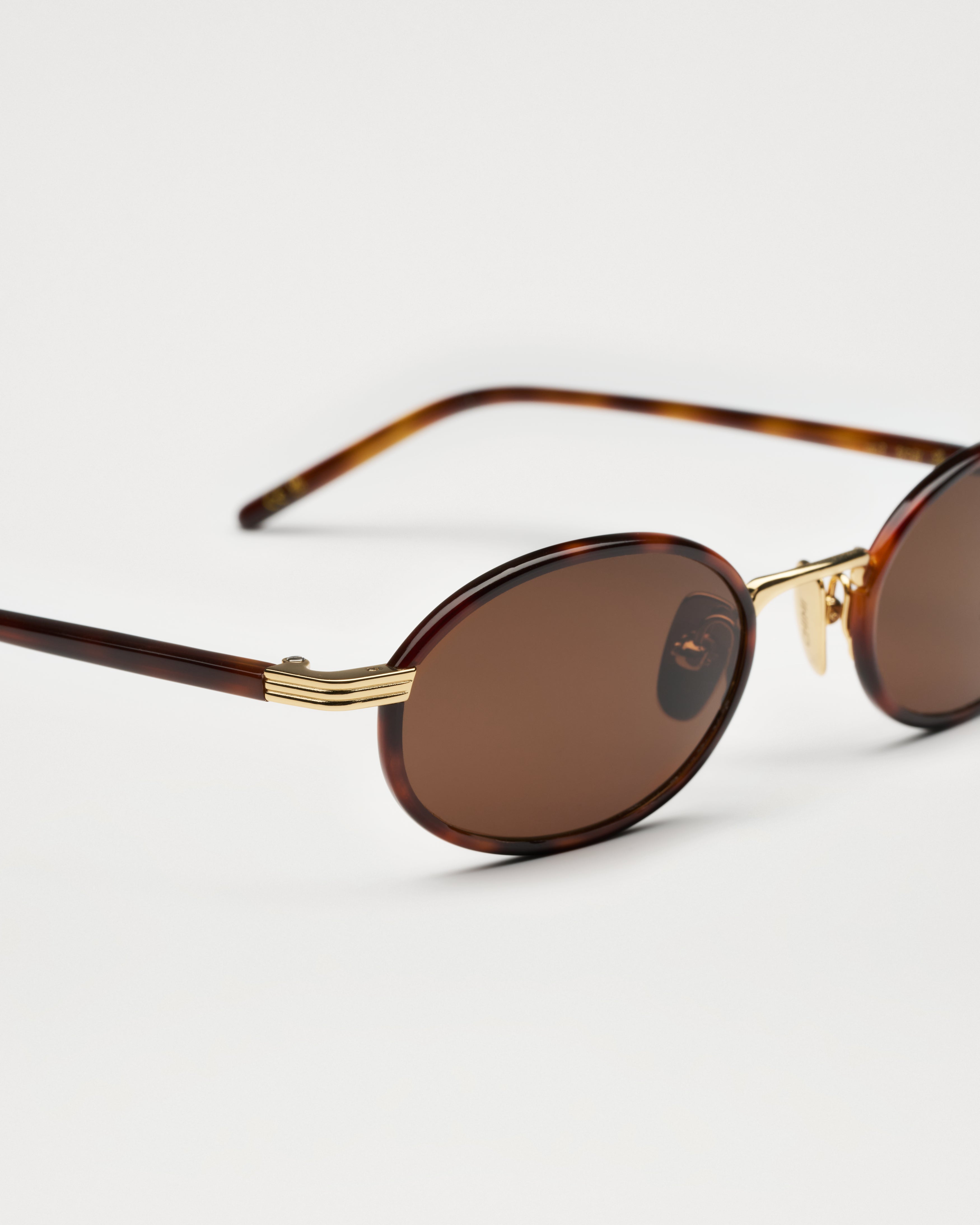 lea royal tortoise