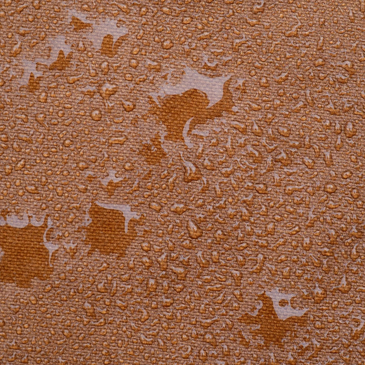 CELESTINS תיק לסופ"ש