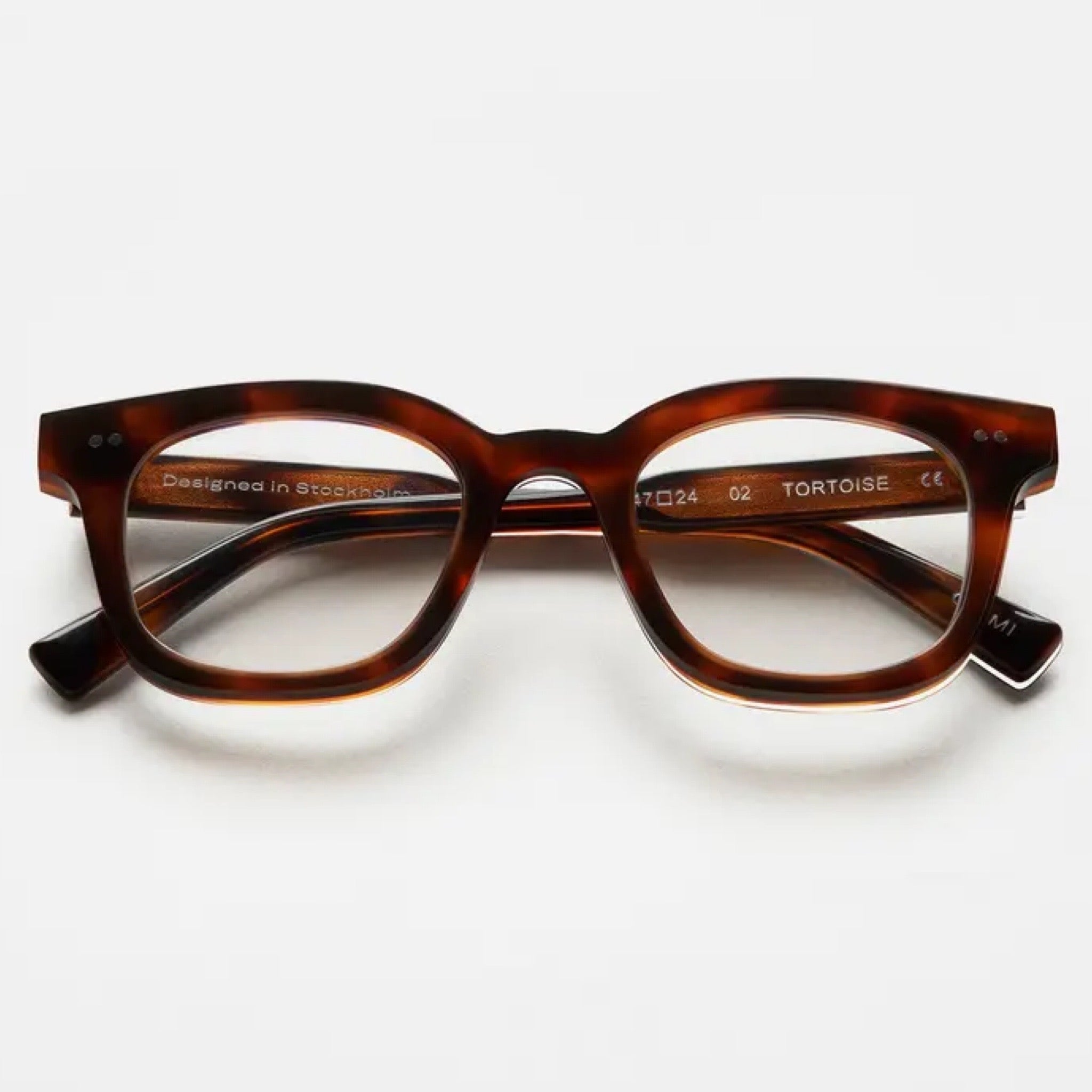 מסגרת ראייה 02 Tortoise