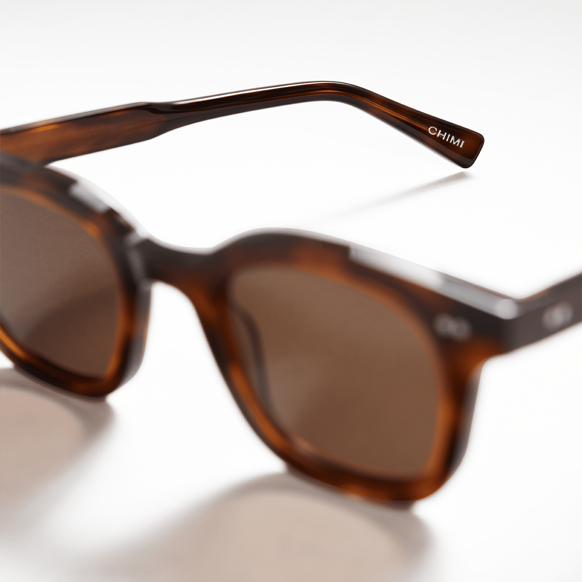 02 Tortoise