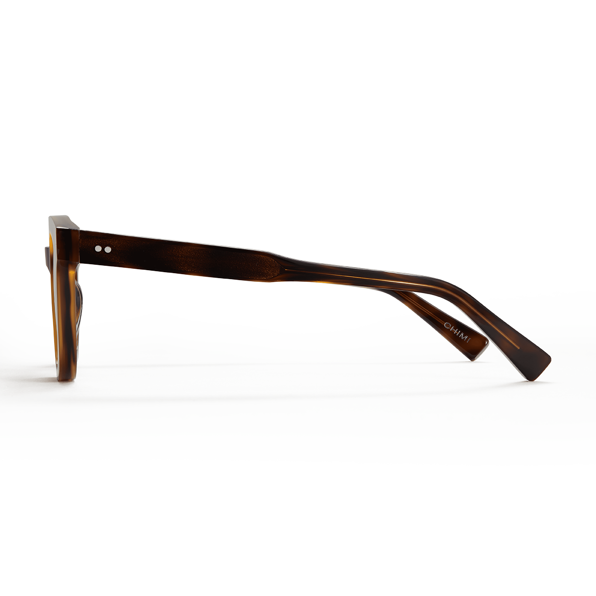 02 Tortoise