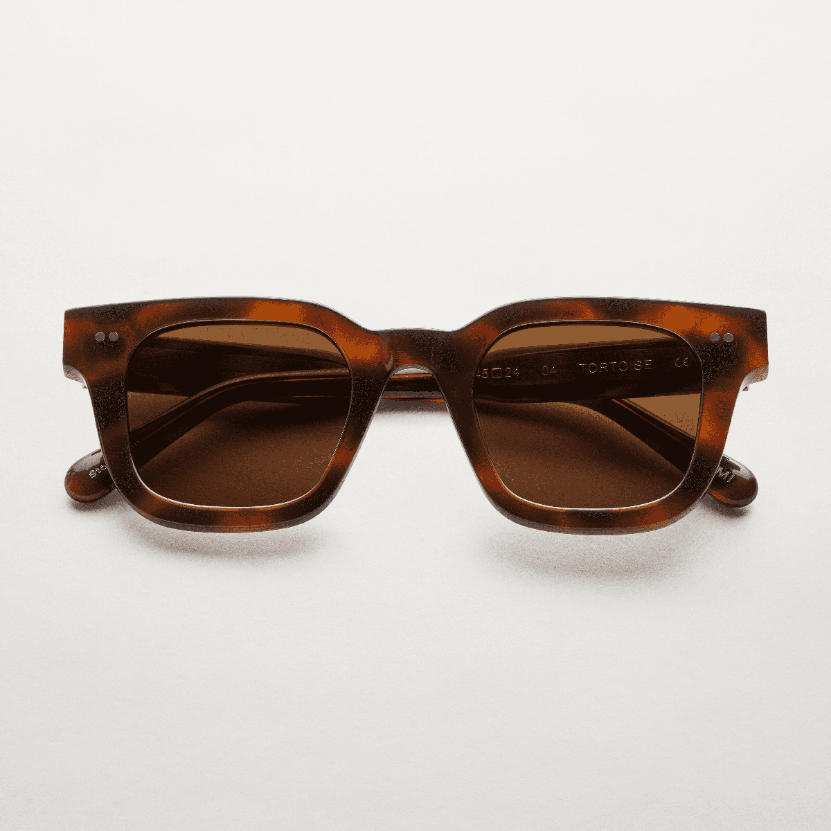 04 Tortoise