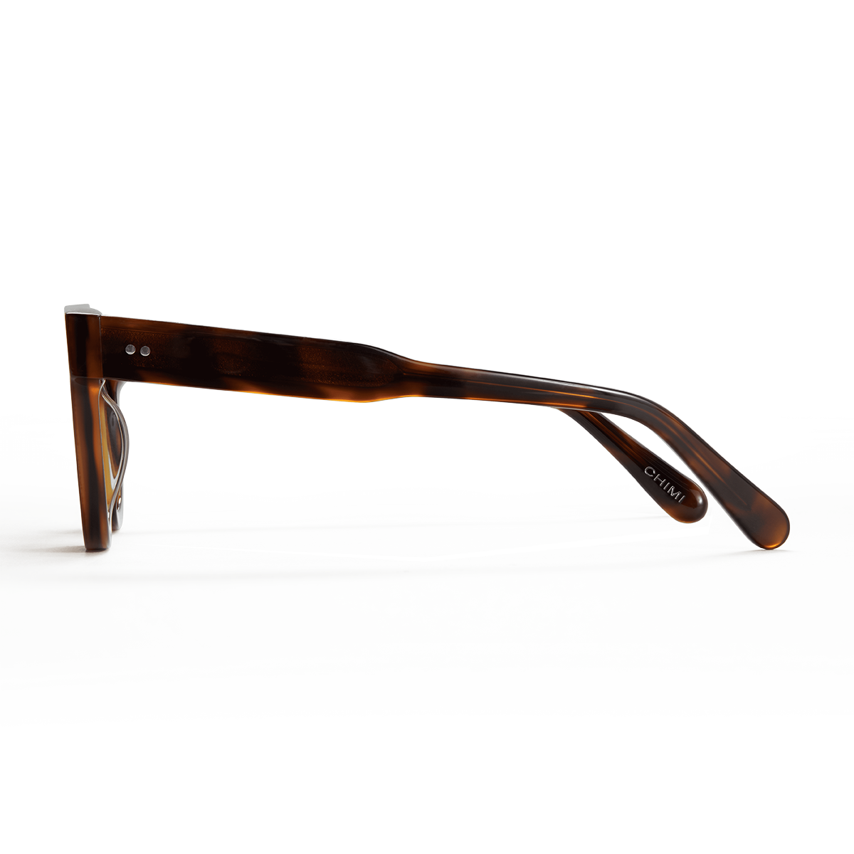 04 Tortoise