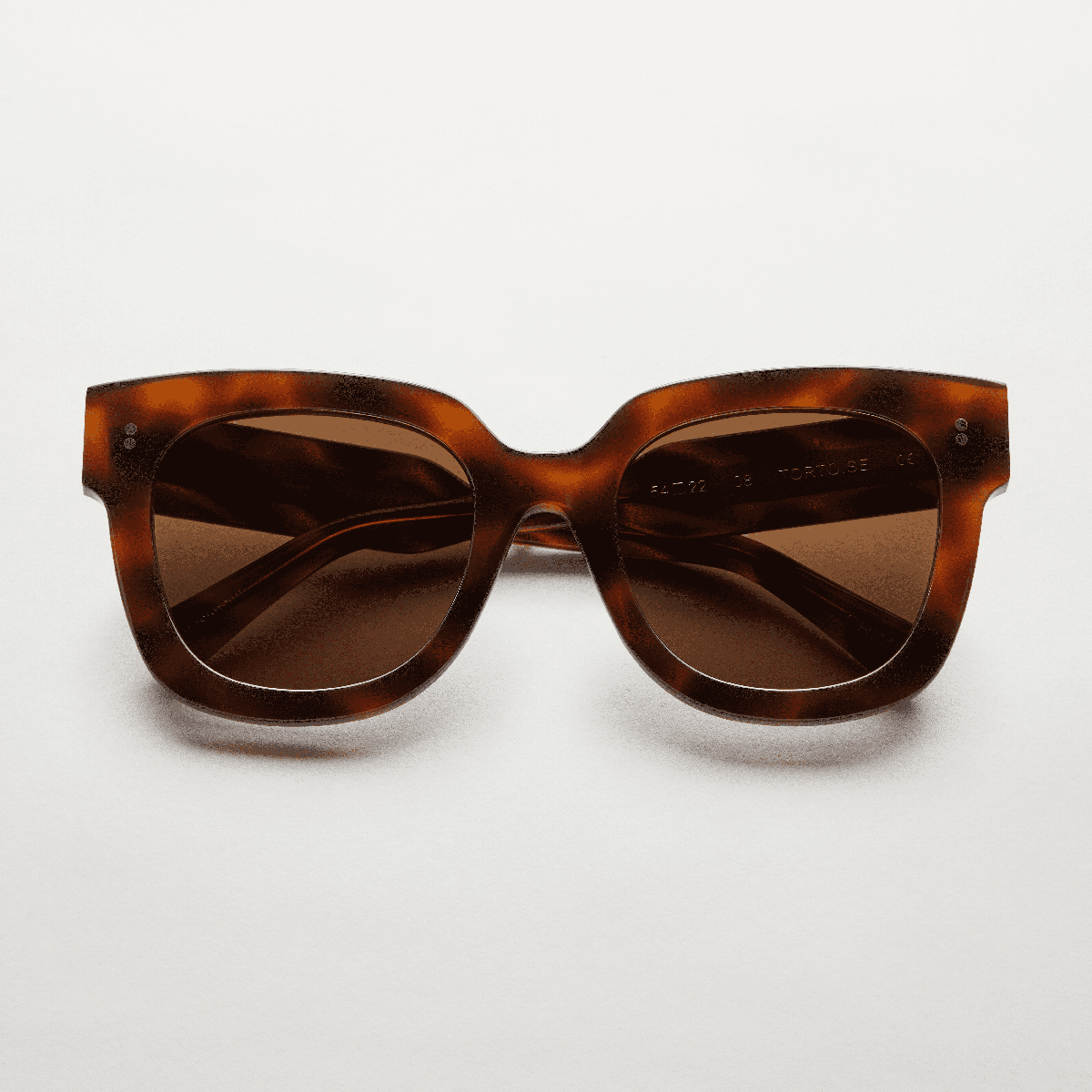 08 Tortoise