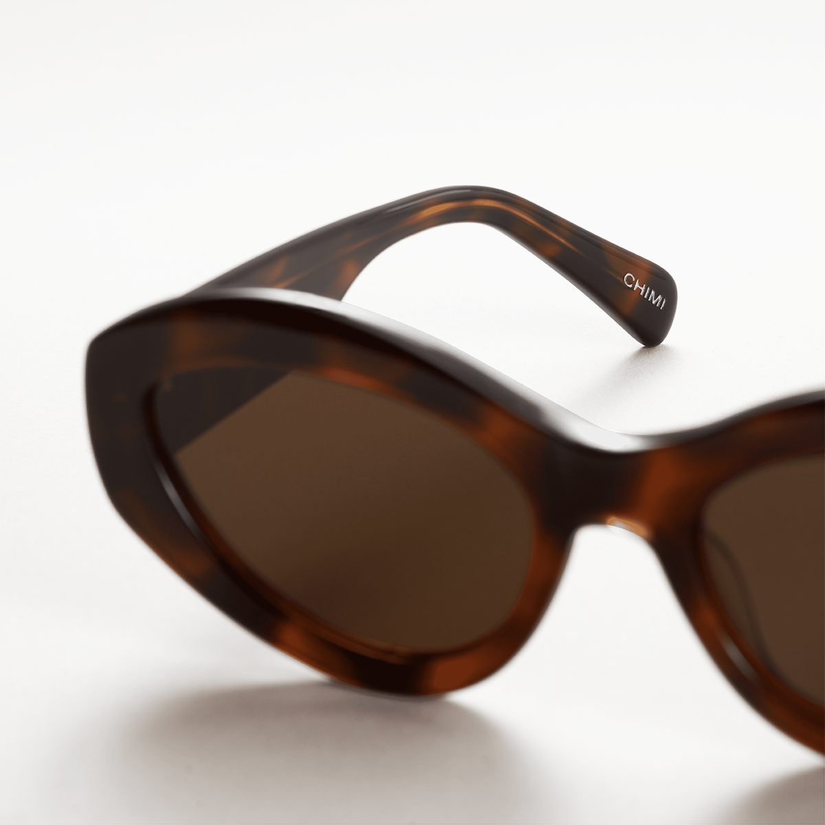 09 Tortoise