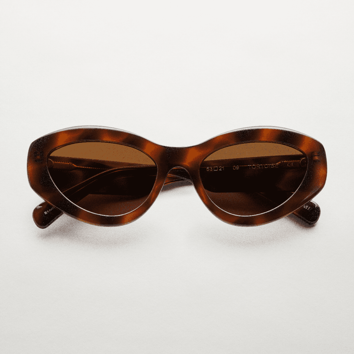 09 Tortoise