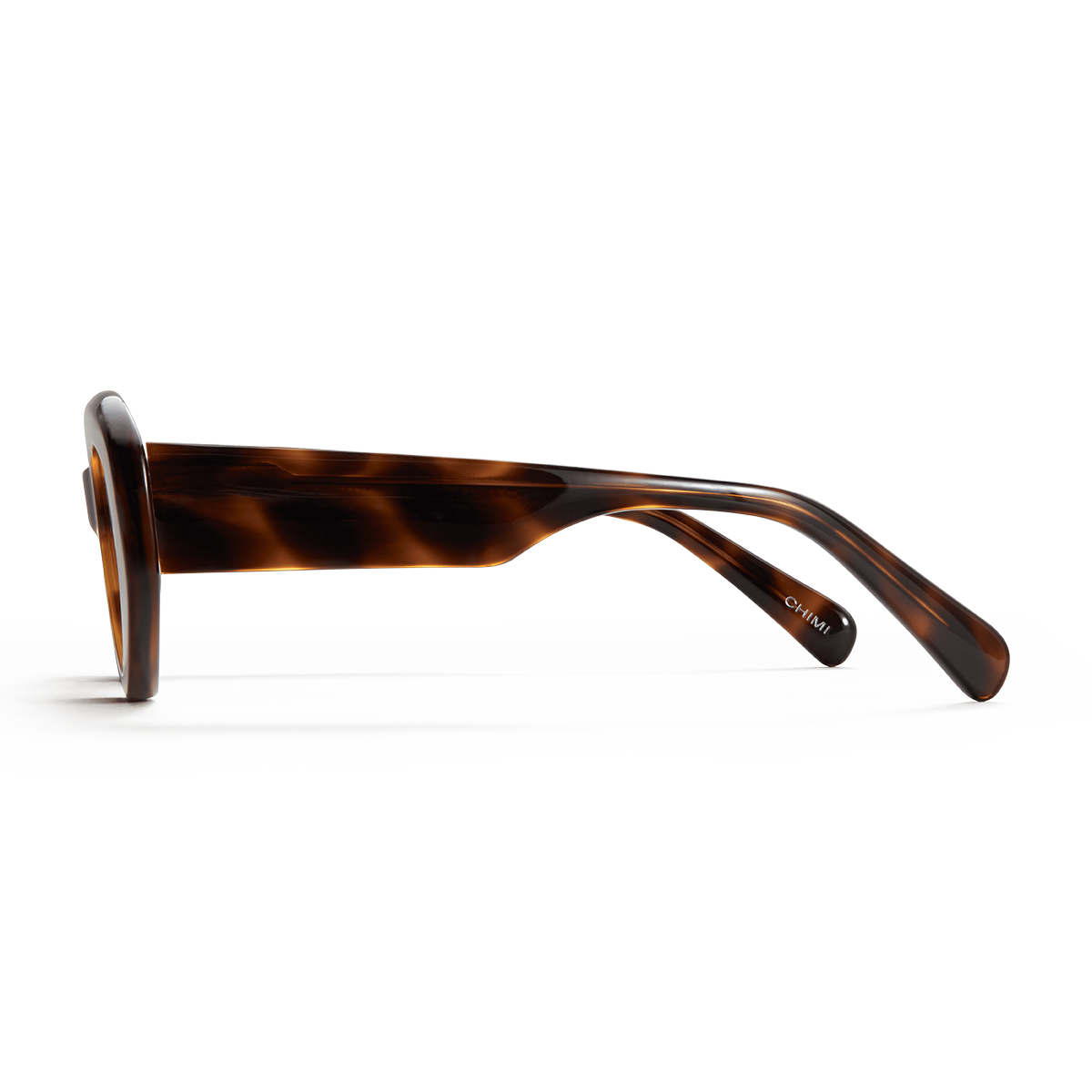 09 Tortoise