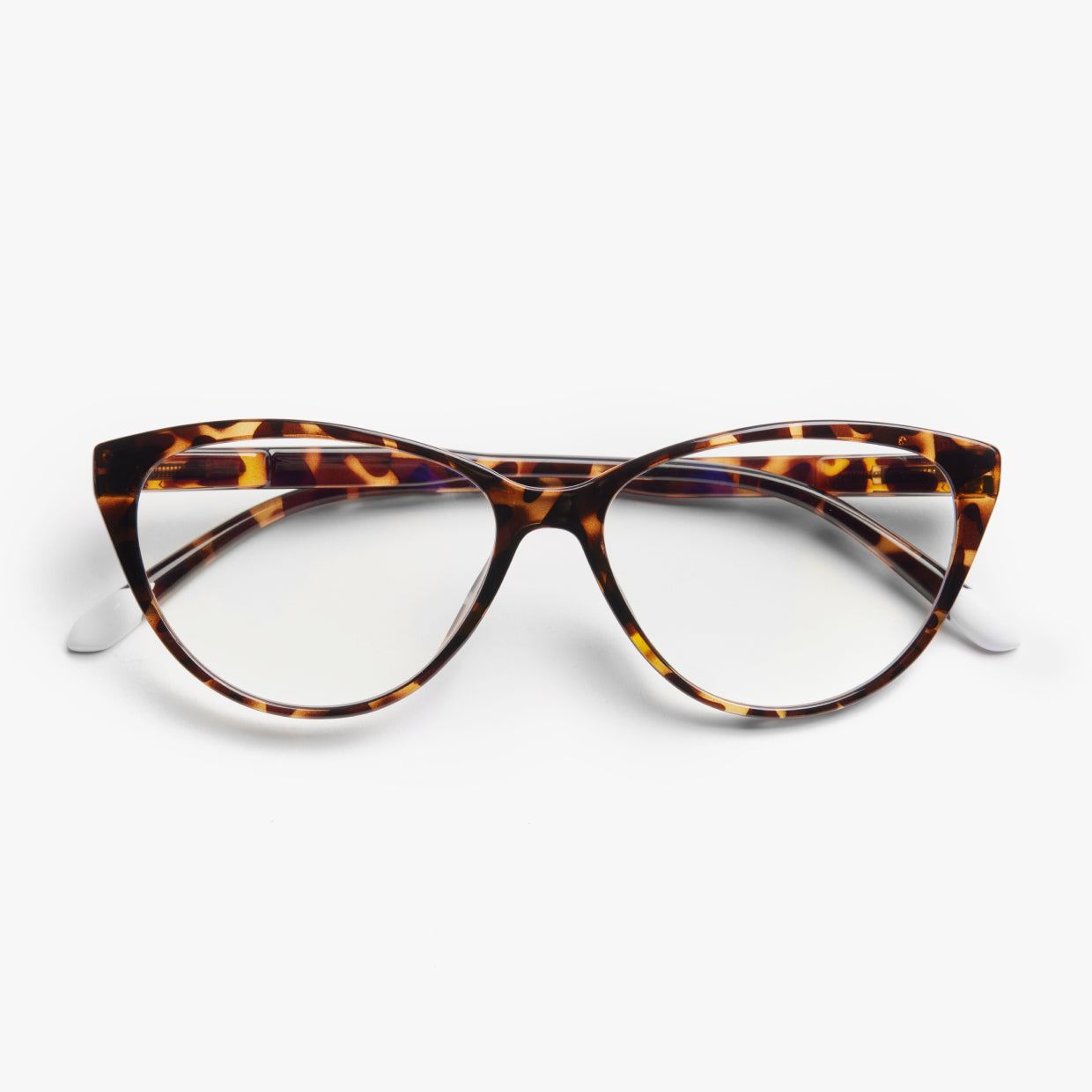 ASTORIA TORTOISE