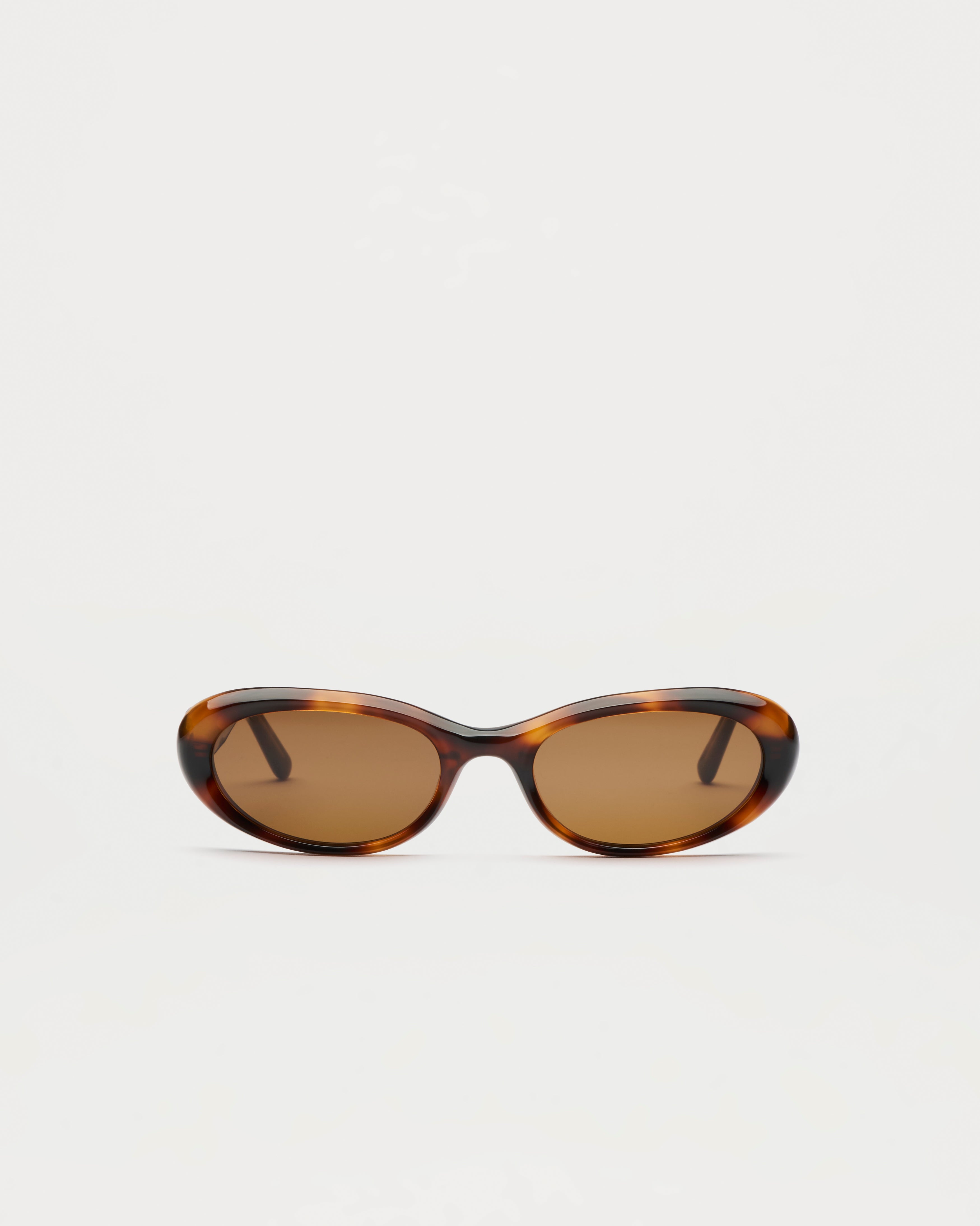 09 Tortoise