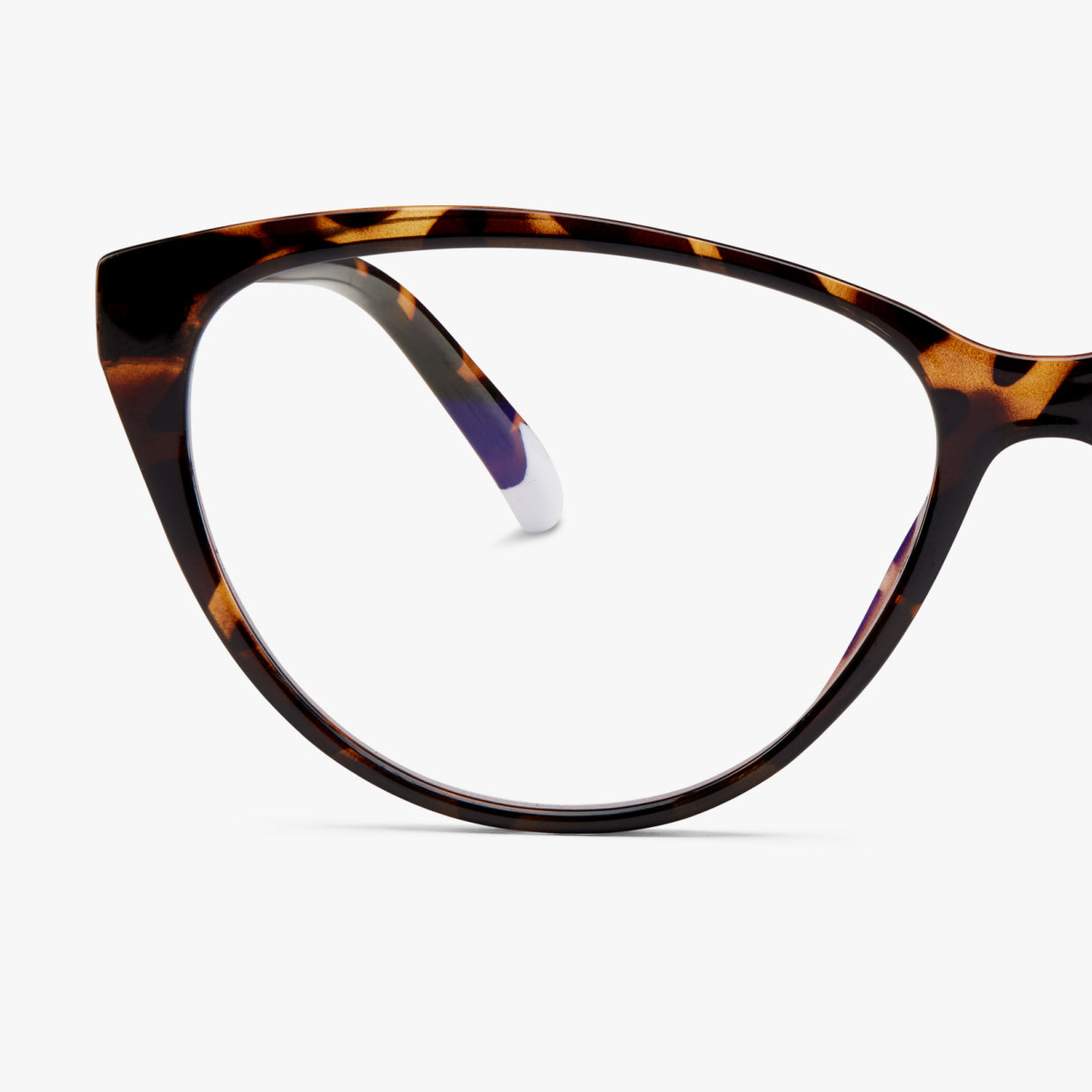 ASTORIA TORTOISE