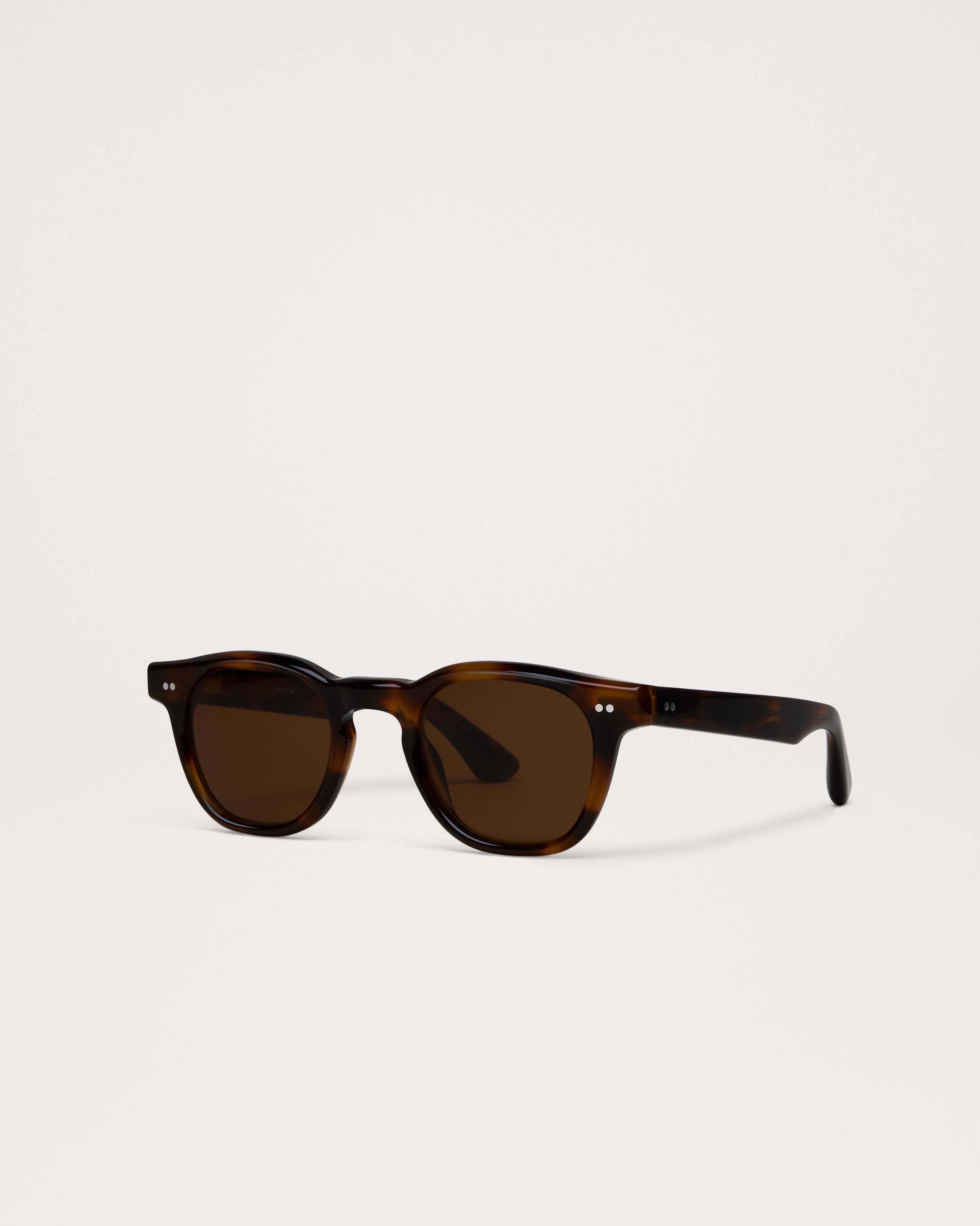 01 Tortoise