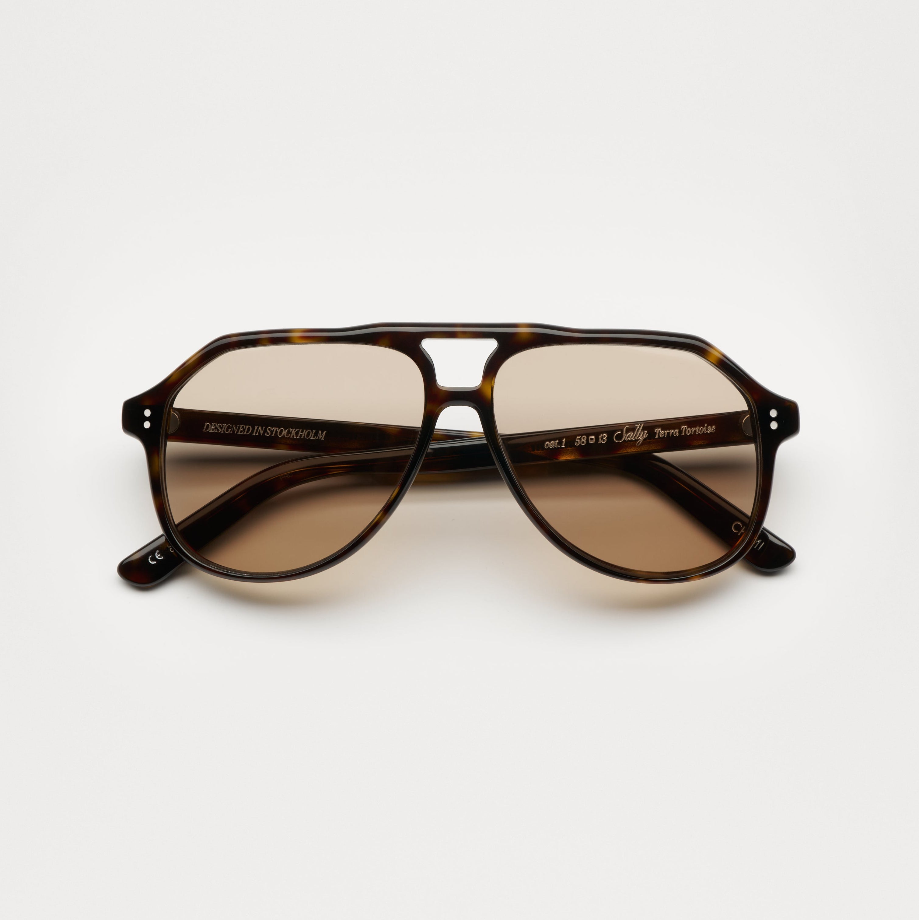 SALLY TERRA TORTOISE