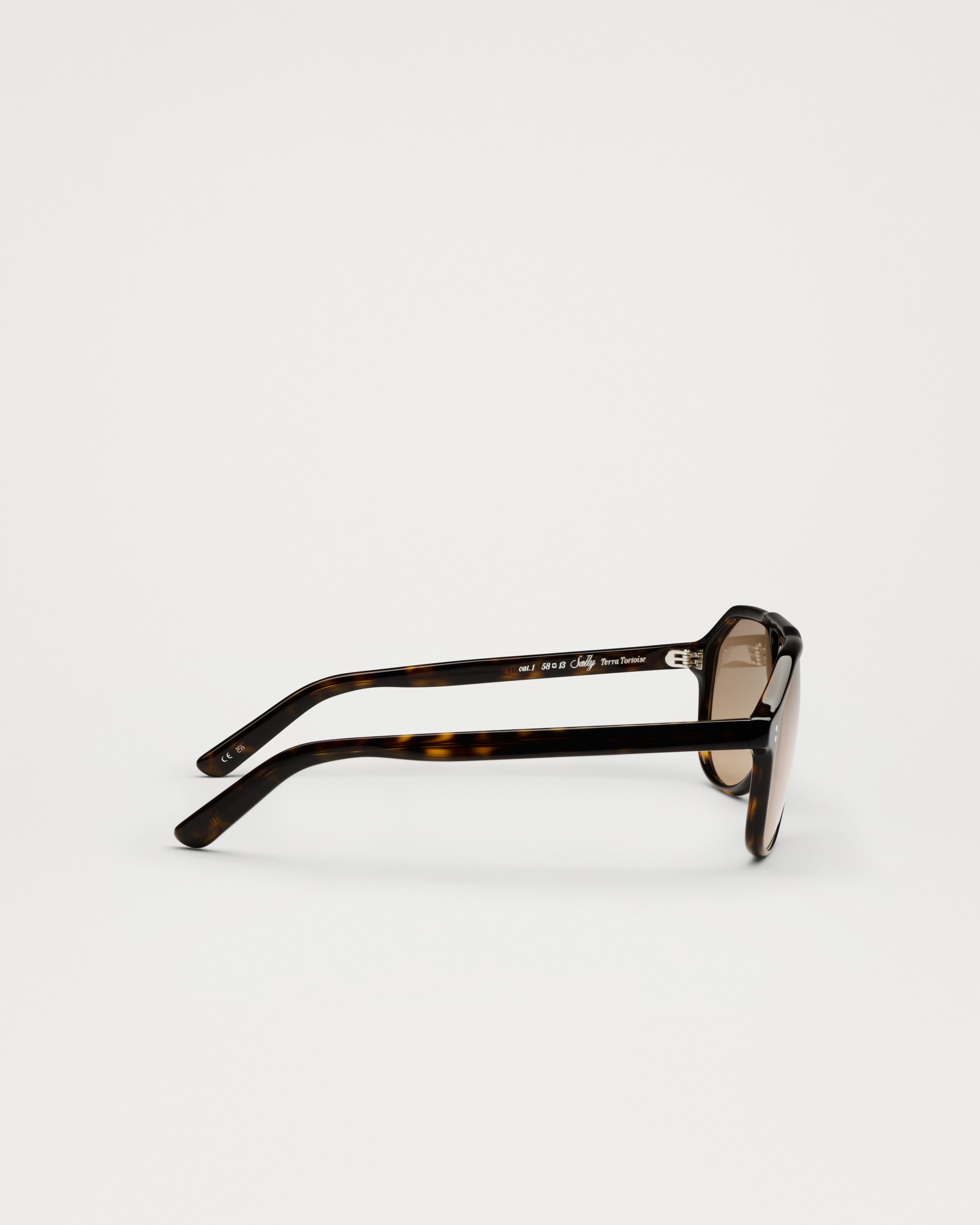 SALLY TERRA TORTOISE
